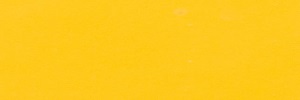 FS 13655 - Yellow