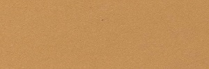 FS 20400 - Tan