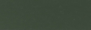 FS 34102 - Green